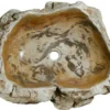 23" Petrified Wood Stone Vessel Sink, Beige, Brown