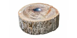 20.5" Petrified Wood Stone Vessel Sink, Beige, Brown, Red Orange, PEWD-#224-A
