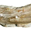 42" Petrified Wood Stone Vessel Sink, Brown, Taupe, PEWD-#002