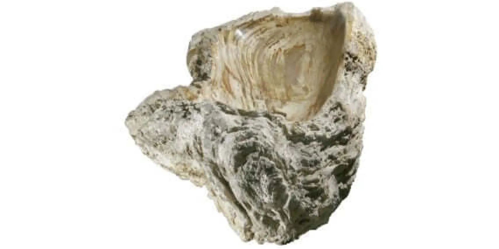 42" Petrified Wood Stone Vessel Sink, Brown, Taupe, PEWD-#002