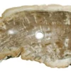 Allstone W 26″ x D 14.5″ x H 5.5″ Petrified Wood Stone Vessel Sink, Beige, Brown, PEWD-#033