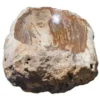 Allstone 30"x15"x6.5" Petrified Wood Stone Vessel Sink, Beige, Brown, PEWD-#266