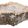 Allstone 30"x27"x9.5" Petrified Wood Stone Vessel Sink, Beige, PEWD-#2105