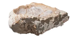 Allstone 30"x27"x9.5" Petrified Wood Stone Vessel Sink, Beige, PEWD-#2105