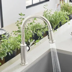Blanco Empressa 1.5 GPM Brass Kitchen Faucet, Pull-Down, Polished Nickel, 442502