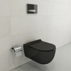 BOCCHI Vettore Soft-Close Toilet Seat in Black, A0330-005