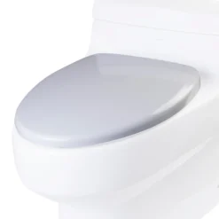 EAGO Plastic, White, R-352SEAT Replacement Soft Closing Toilet Seat for TB352