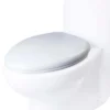 EAGO Plastic, White, R-309SEAT Replacement Soft Closing Toilet Seat for TB309