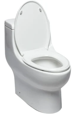 EAGO Porcelain, White, TB358 Dual Flush One Piece Elongated Ceramic Toilet