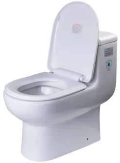 EAGO Porcelain, White, TB351 Dual Flush One Piece Eco-Friendly High-Efficiency Low Flush Ceramic Toilet