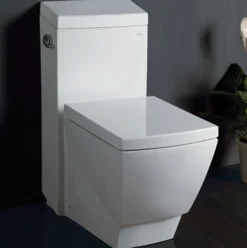 EAGO Porcelain, White, TB336 One Piece High-Efficiency Low Flush Ceramic Toilet
