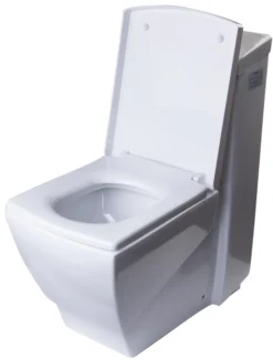 EAGO Porcelain, White, TB336 One Piece High-Efficiency Low Flush Ceramic Toilet