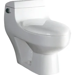 EAGO Porcelain, White, TB108 One Piece High Efficiency Low Flush Eco-Friendly Ceramic Toilet