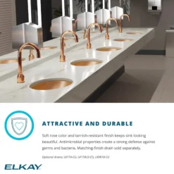 Elkay 20