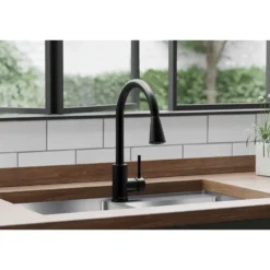 Elkay Avado Forward Only Lever Handle Pull-down Spray Spout Brass ADA Kitchen Faucet, Matte Black, LKAV3031MB