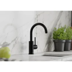Elkay Avado Lever Handle Gooseneck Spout Brass ADA Bar Faucet, Matte Black, LKAV3021MB