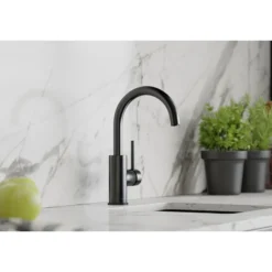 Elkay Avado Lever Handle Gooseneck Spout Brass ADA Bar Faucet, Black Stainless, LKAV3021BK