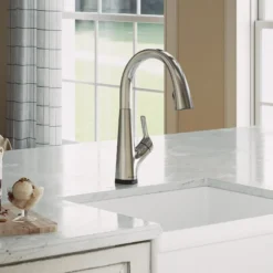 Elkay Avado Lever Handle Pull-down Spray Spout Brass ADA Kitchen Faucet, Chrome, LKAV7051FCR