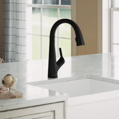 Elkay Avado Lever Handle Pull-down Spray Spout Brass ADA Kitchen Faucet, Matte Black, LKAV7051FMB