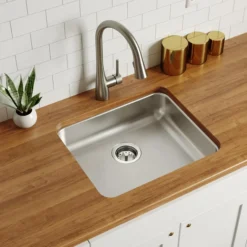 Elkay Lustertone Classic 22" Undermount Stainless Steel ADA Kitchen Sink, Lustrous Satin, 18 Gauge, ELUHAD191650