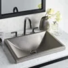 Native Trails Amara 20" x 14" Rectangle Fireclay Bathroom Sink, Platinum, PML2014-P