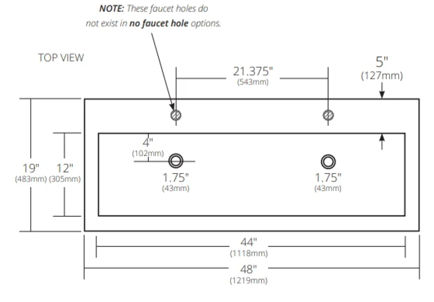 Native Trails Trough 48" Rectangle NativeStone Concrete Bathroom Sink, No Faucet Hole, Earth, NSL4819-EX