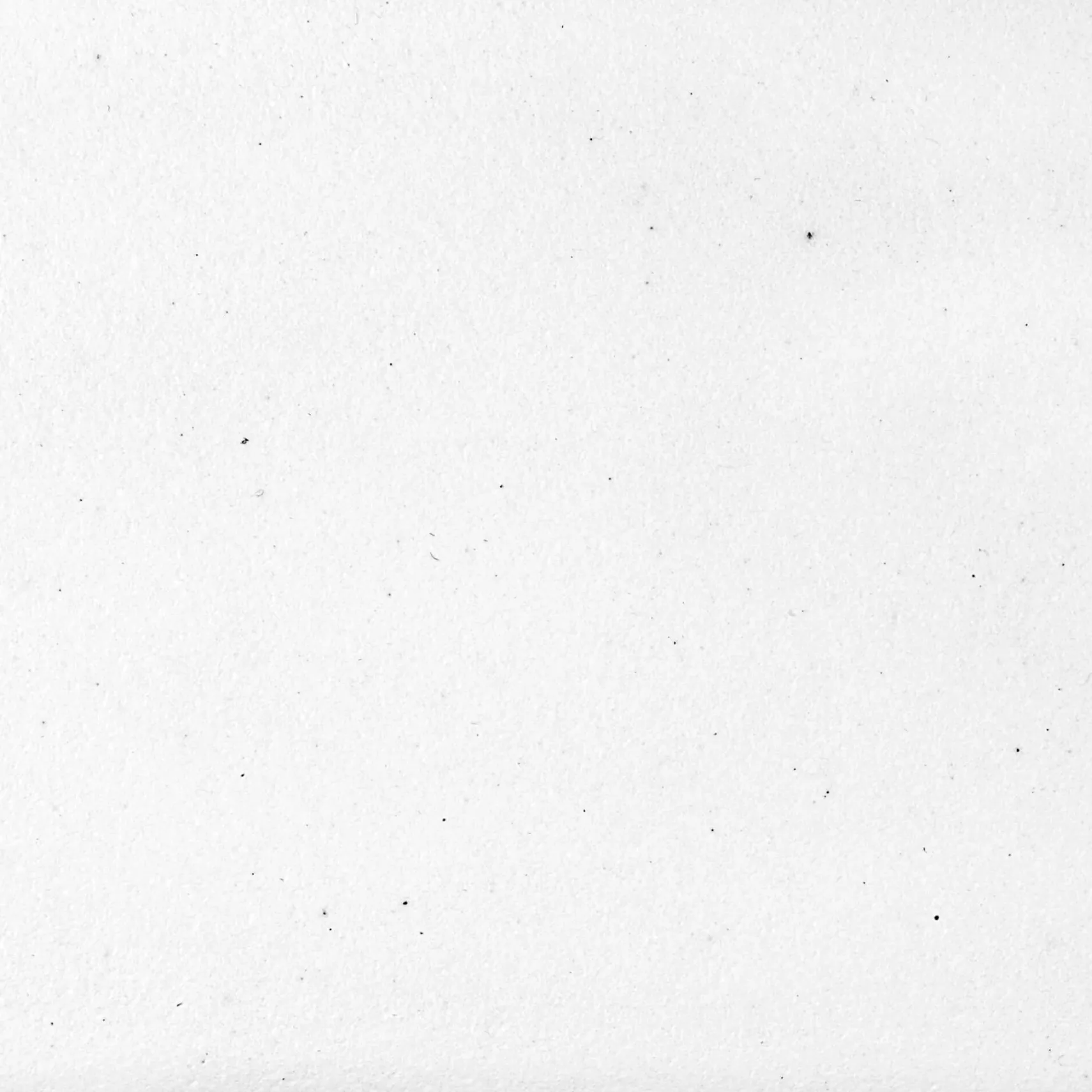 Ruvati epiGranite 30" Drop-in Topmount Granite Composite Kitchen Sink, Arctic White, RVG1030WH